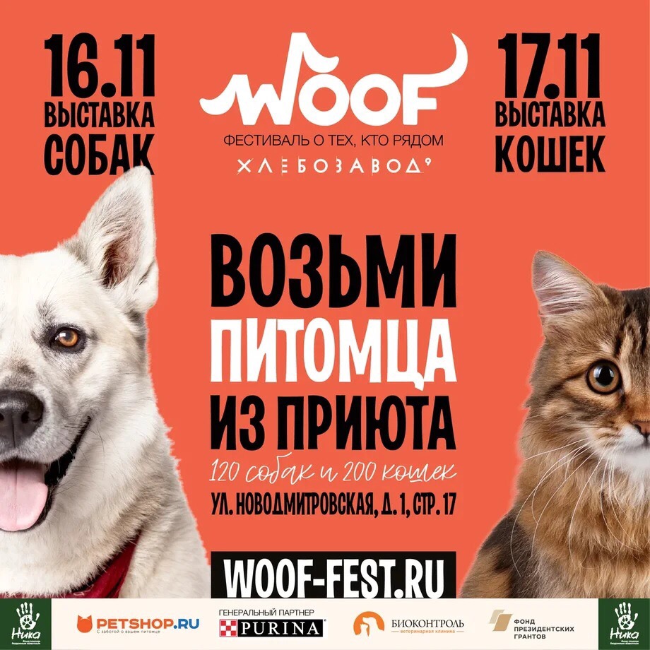 woofdwst